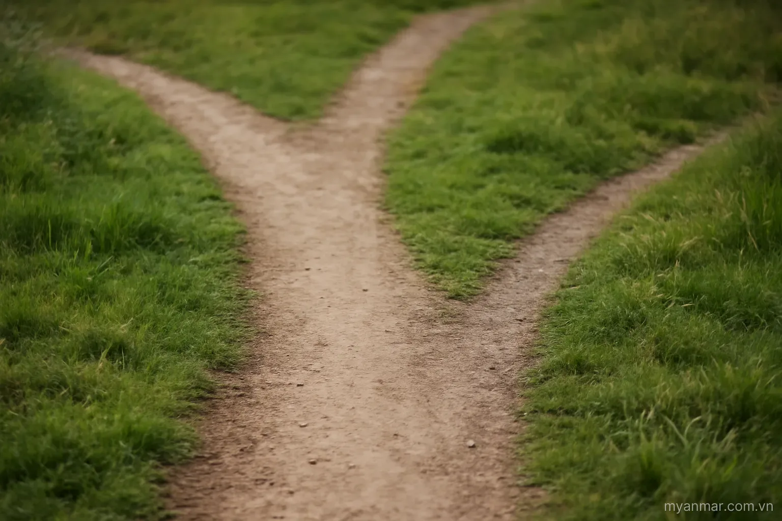 Two paths diverging from one point, one well trodden and one faint, overhead view, no text