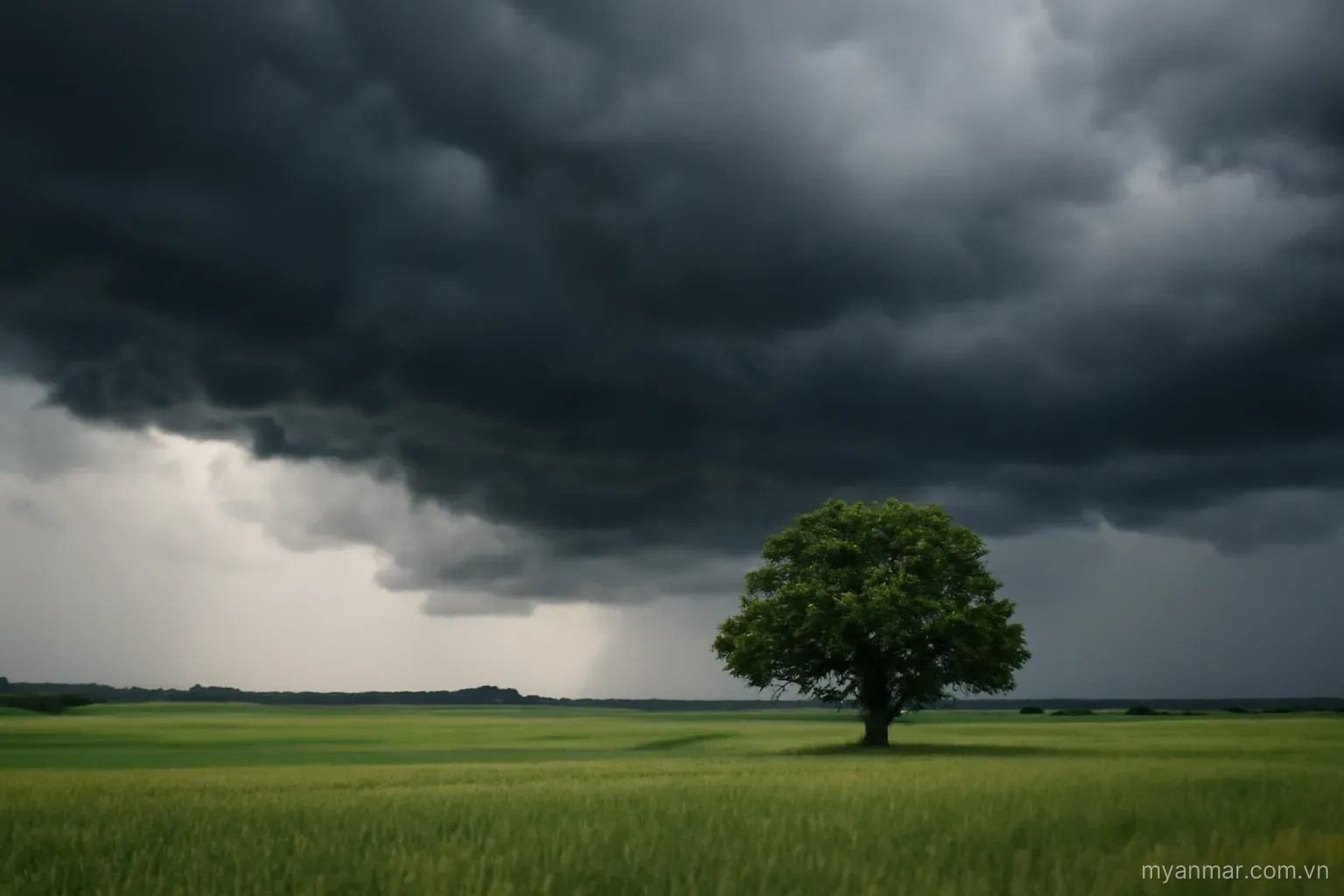 Heavy rain clouds gathering over green fields with a single tree, wide view, no text