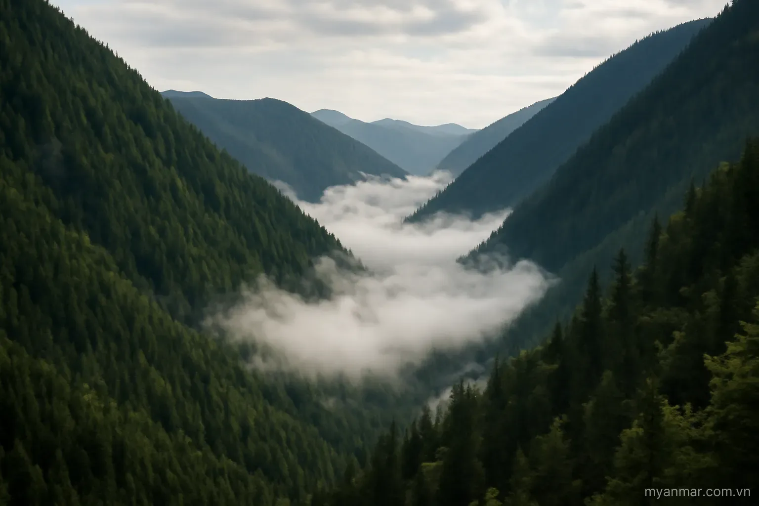 Steep forested mountains with clouds settling in the valleys, wide view, no text