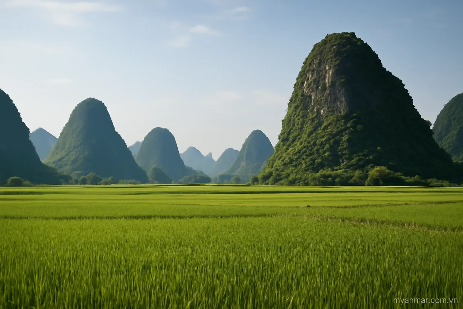 Limestone karst hills rising from flat green fields, wide view, no text