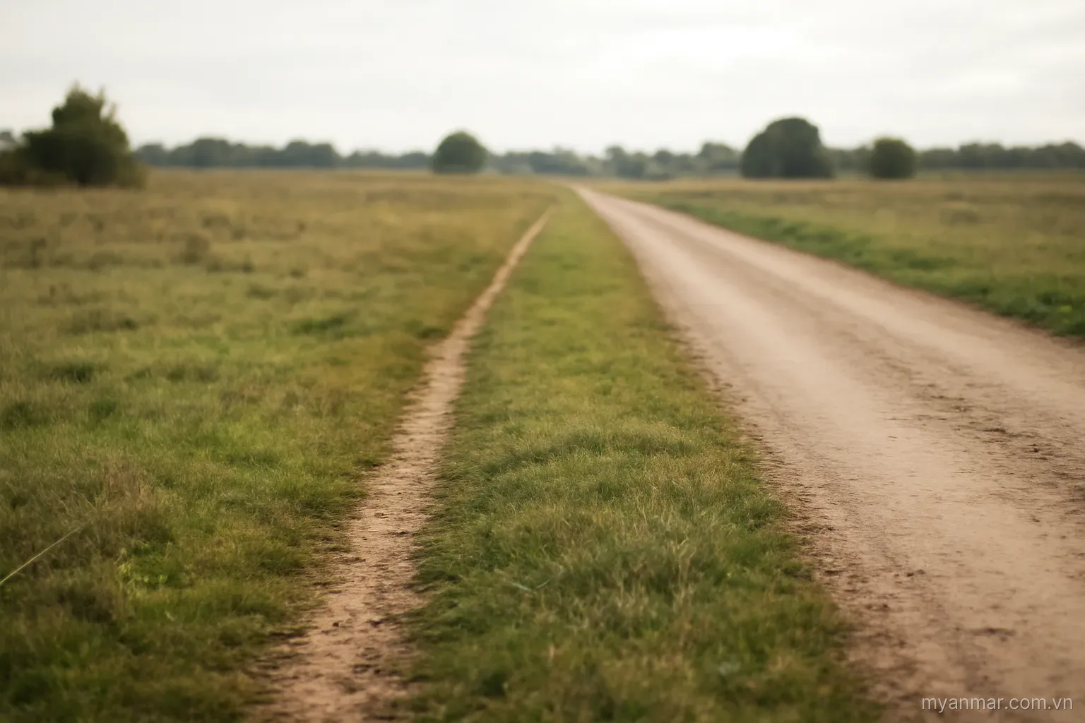 A faint old footpath running parallel to a newer wider track across open ground, no text