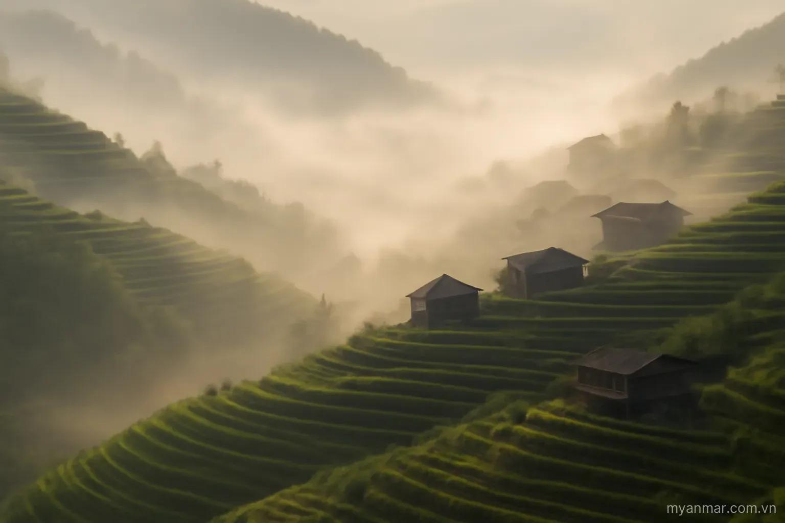 Terraced hillsides in morning mist with scattered wooden houses, wide view, no text